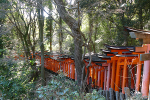 κι άλλοι torii P1140286