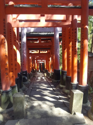 torii IMG_20260316_130140