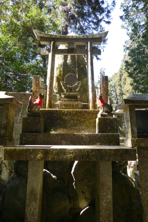 αλεπούδες πριν το γεύμα P1140305