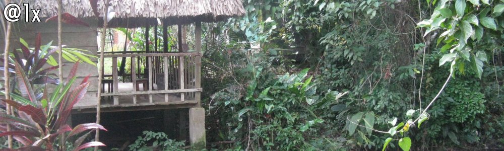 Day 11 Selva Lacandon
