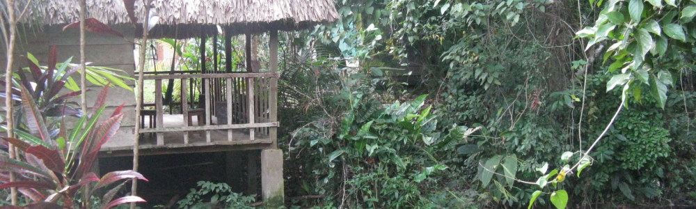 Day 11 Selva Lacandon