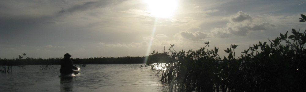 Day 21 Coba
