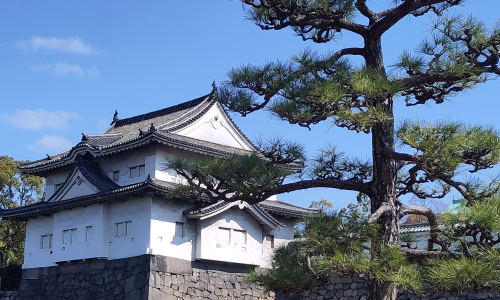 Πρώτες Εντυπώσεις