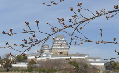 Himeji, η καστρινή