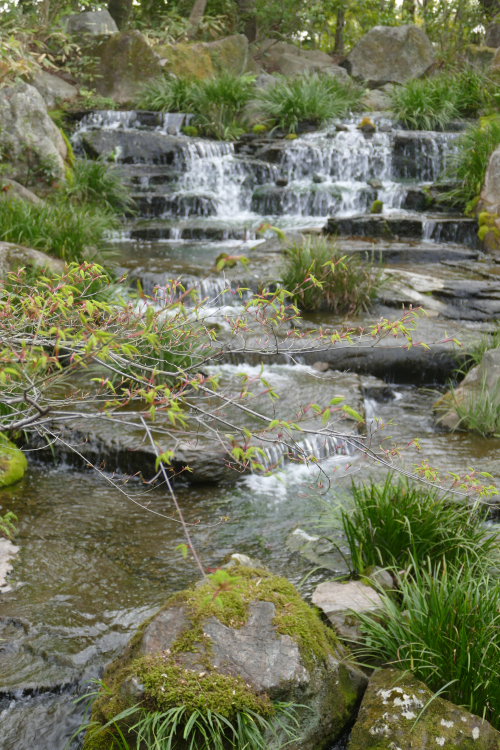 A river runs through it P1140594
