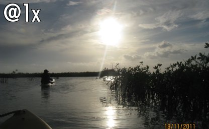 Day 21 Coba