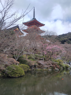 Kyoto -μέρος Ι