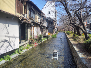 IMG_20260317_104028 IMG_20260317_104028