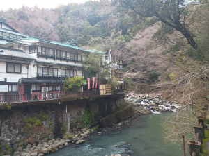 Hokone IMG_20260319_172044407