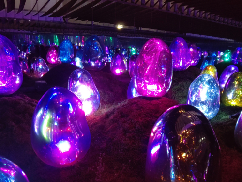 Ανώμαλα αυγά IMG_20260323_215018