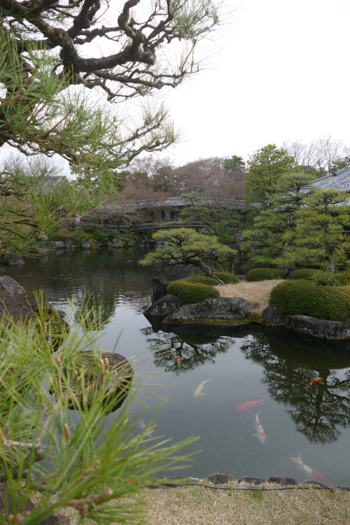 Στο βάθος κήπος... P1140601