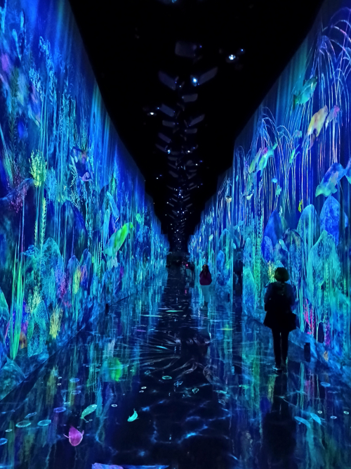 Στα βάθη των ωκεανών IMG_20260323_222949947