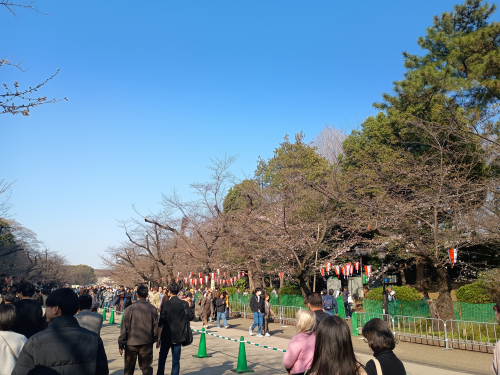 IMG_20260321_151544834