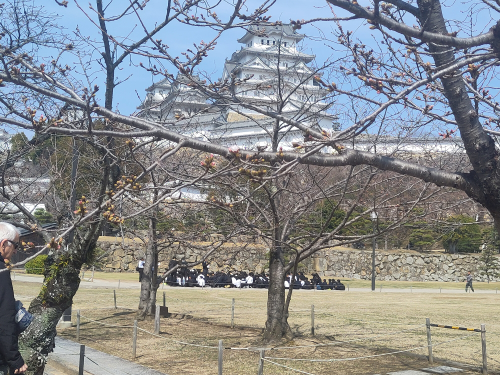 Εκπαίδευση μοντέρνων Σαμουράι IMG_20260324_133943