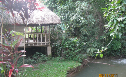 Day 11 Selva Lacandon