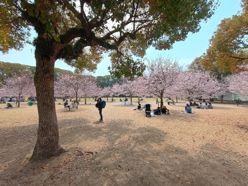 Γνήσια κατάσταση! Βλέπετε κανενα τουρίστα; IMG_20260330_114417443_HDR