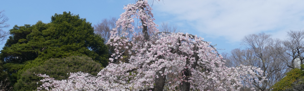 Tokyo - μερος ΙΙΙ