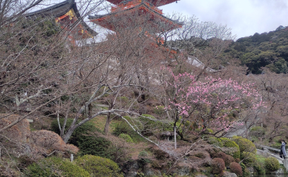 Kyoto - μέρος Ι