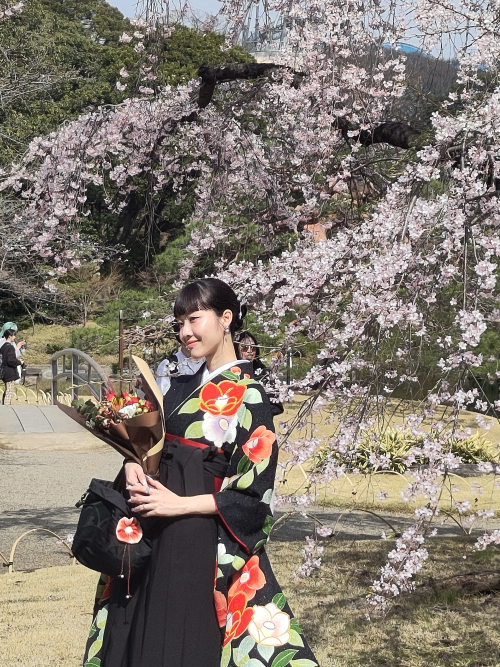 Ενθύμιο Sakura IMG_20260323_135329