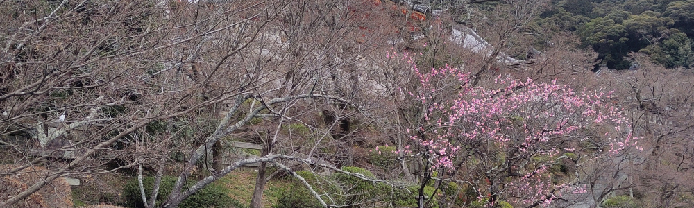 Kyoto - μέρος Ι