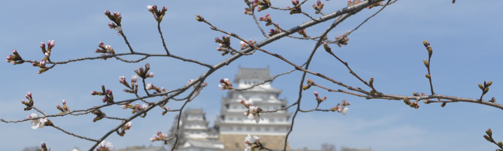 Himeji, η καστρινή
