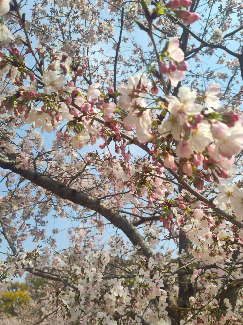 Βρες το Μαρτη IMG_20260330_132427