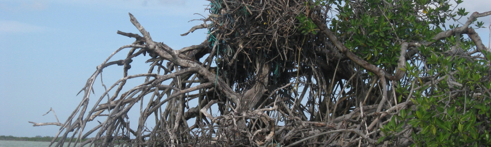 Day 20 Tulum