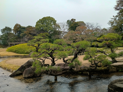 IMG_20260325_141355833_HDR