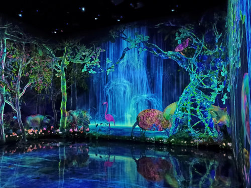 Δάσος με εξαφανισμένα είδη IMG_20260323_222809441