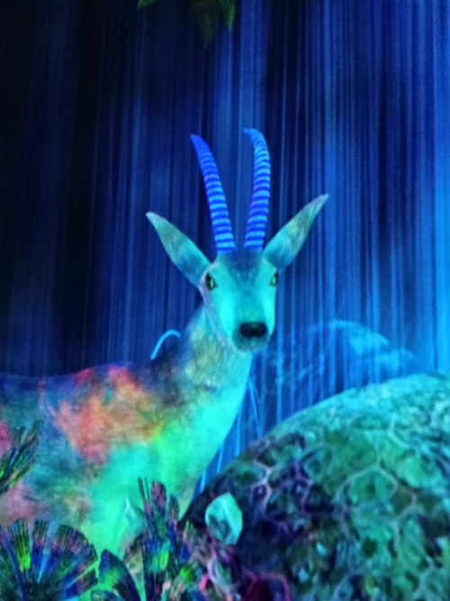 ...μα και άλλα προς εξαφάνιση. IMG_20260323_223317743