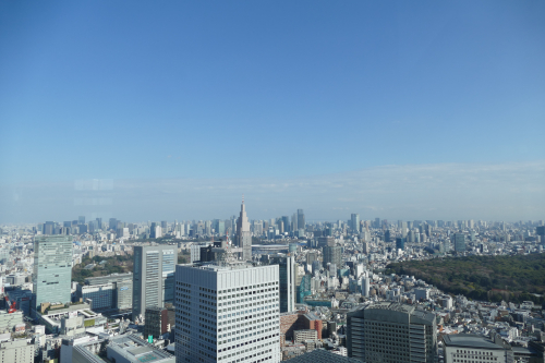 Τοκυο, τοκυο, ως πού πια!; P1140534