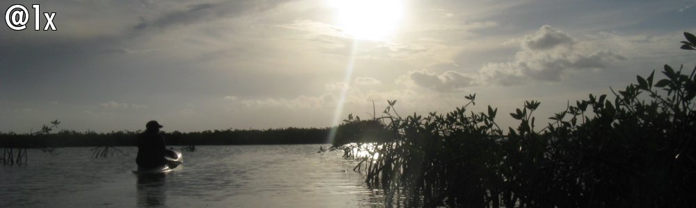 Day 21 Coba